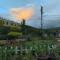 Fratelli Guest House