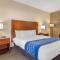 Comfort Inn Douglasville - Atlanta West - Дагласвілл