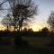 Stemicar dans les Landes