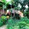 Foto: Orchid Garden Bungalow 53/84