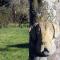 Le Manoir du Meldick photo 23