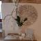 Donna Lucrezia dimora a corte B&B - Conversano