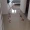 Afytos Dream suites sea view