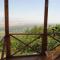 Tsanava's cottage in Sighnaghi - 西格纳吉