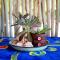 Kalahari Camelthorn Guesthouse and Camping - Askham Kalahari Camelthorn Guesthouse and Camping - Askham