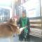 Guixu Huatang Homestay