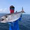 Faima Fishing Lodge at Daravandhoo