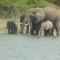 Irungu Forest Safari Lodge