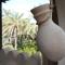 Date Palm Inn