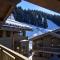les 7 laux immobilier chalet E