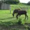 Ferme de Bellevue - Landes-le-Gaulois