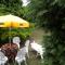 Holiday home in Siofok - Balaton 19923