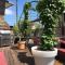 LA TERRASSE SELESTADIENNE