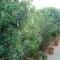 Philippos Studios & Apartments