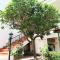 LudoMar Country Residence - Rooms & Apartments - SantʼAndrea Apostolo dello Ionio