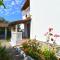 Apartment Brajdine 405