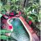 Foto: Treetops Retreat Cairns 7/64