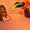 Bed And Breakfast Il Riccio