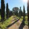 PIAN DEL LECCIONE
