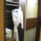 Hotel Grand Pacific