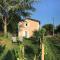 Mirande Montagne-Saint Emilion