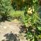 Organic Gardens Villa