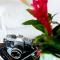 Ilhabela Homestay