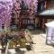 Foto: Lijiang Shuhe Sunshine Sandi Garden Guest House 3/78