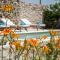 Unique Antistress Oasis Villa Antiqua
