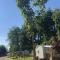 Domaine du Blanc Pignon photo 14