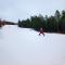 Vildmarks Lodge - Ytterhogdal