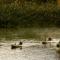 Orange River Rafting Lodge
