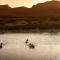 Orange River Rafting Lodge - Kotzeshoop