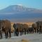 Ol Tukai Lodge Amboseli