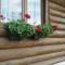 Cabana Rustic Balea