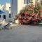 Bodrum Blu Hotel