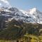 Hotel Bernerhof Grindelwald - Grindelwald