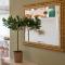 Oikia Eleanthi - Beachfront Garden Home! - 米提卡斯