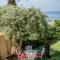 Oikia Eleanthi - Beachfront Garden Home! - 米提卡斯