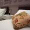 Il Cavaliere Bed and Breakfast