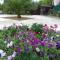 Guesthouse AzA&Karlen - Novy Afon