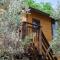 Palazzo Conforti Tree House Resort