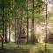 Forest Camping Mozirje - 莫济列