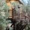 Palazzo Conforti Tree House Resort