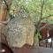 Wild & Free Private Game Lodge