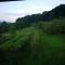 Green Idylle -Pyramid View