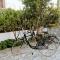 Zama Bed&Breakfast - Scalea