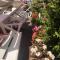 Sunrise Hotel Cameria