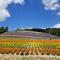 Furano Mount Villa