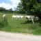 4 Collines - Hagnicourt